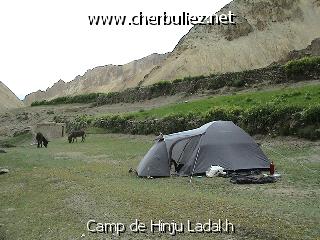 légende: Camp de Hinju Ladakh
qualityCode=raw
sizeCode=half

Données de l'image originale:
Taille originale: 149487 bytes
Temps d'exposition: 1/100 s
Diaph: f/400/100
Heure de prise de vue: 2002:06:14 15:49:36
Flash: non
Focale: 42/10 mm
